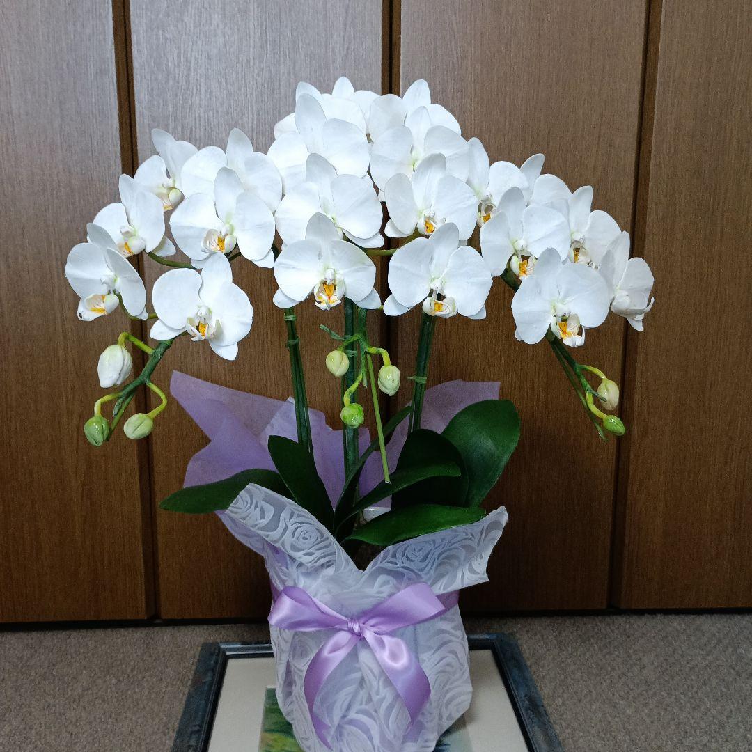専用　ホワイト胡蝶蘭　クレイフラワー　樹脂粘土