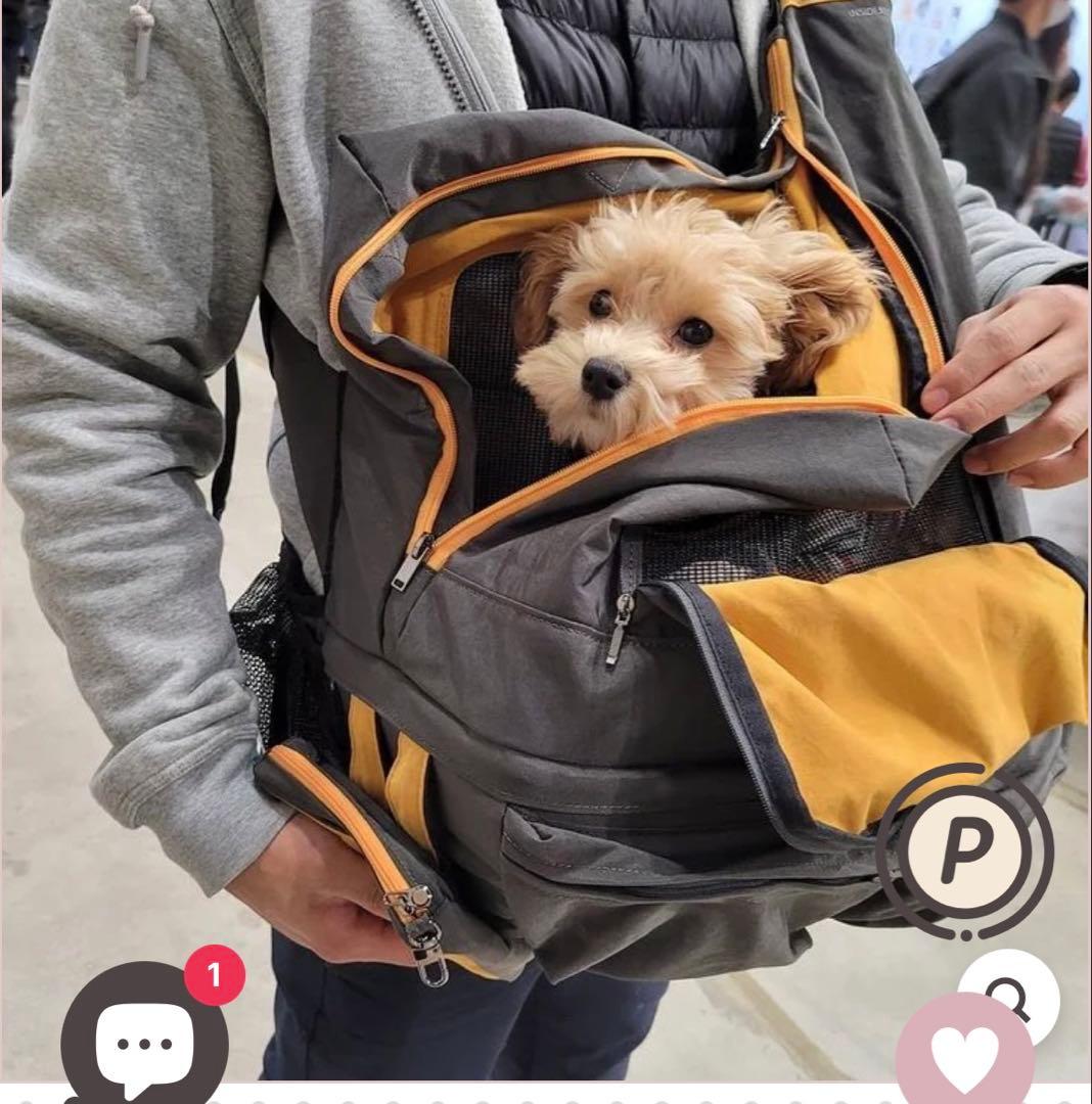 【INSIDD DOG&CAT】犬用スリングキャリーバッグ グレー/イエロー